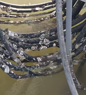 Electrical Sparks from wires in water