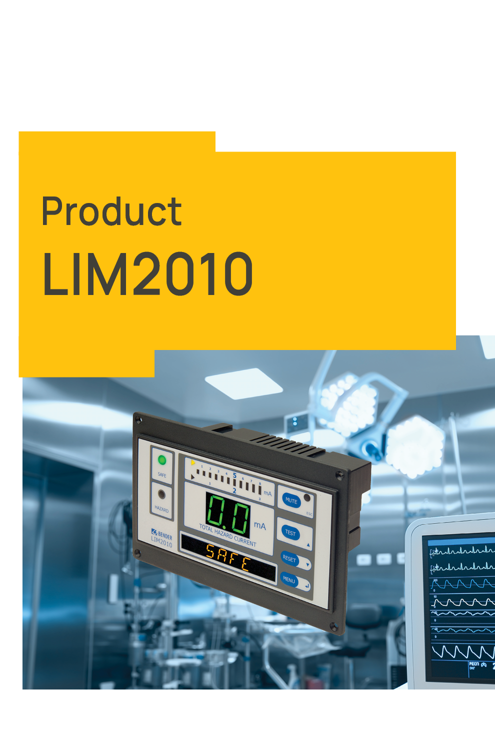 LIM Flyer