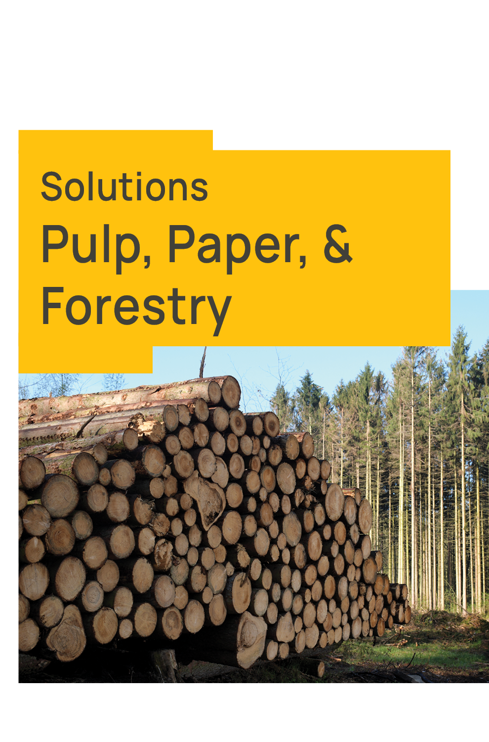 Pulp, Paper & Forestry Flyer