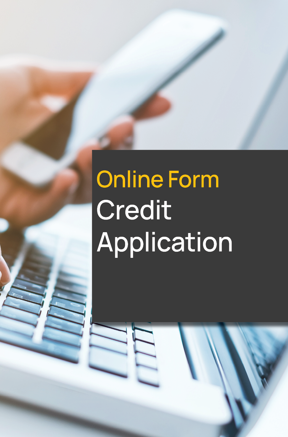 Online Credit Application